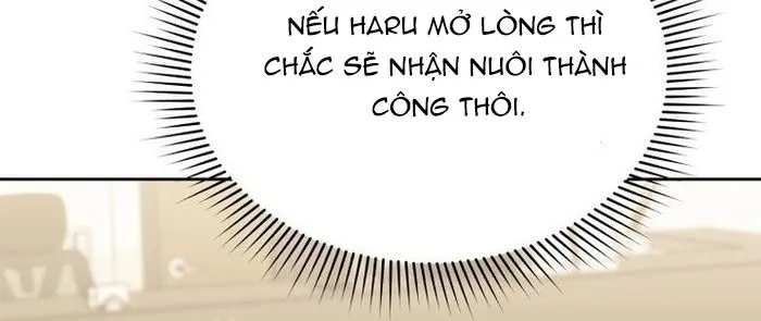 Xin Chào! Bác Sĩ Thú Y Chap 104 - Next Chap 105