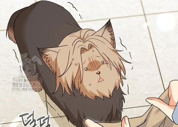 Xin Chào! Bác Sĩ Thú Y Chap 104 - Next Chap 105