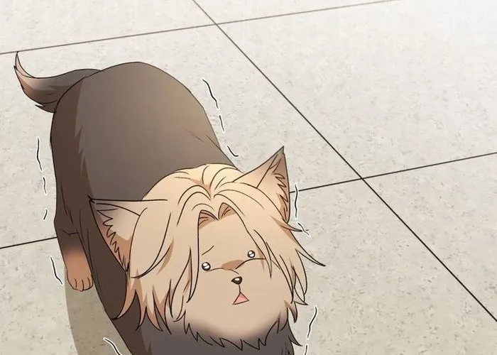 Xin Chào! Bác Sĩ Thú Y Chap 104 - Next Chap 105