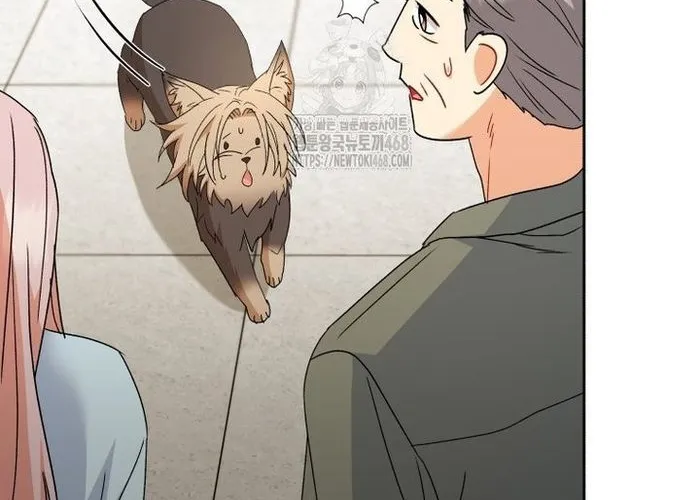 Xin Chào! Bác Sĩ Thú Y Chap 104 - Next Chap 105