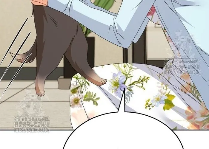 Xin Chào! Bác Sĩ Thú Y Chap 104 - Next Chap 105