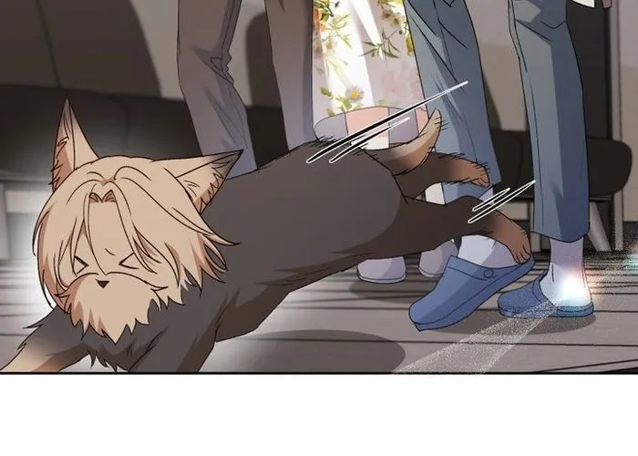 Xin Chào! Bác Sĩ Thú Y Chap 104 - Next Chap 105