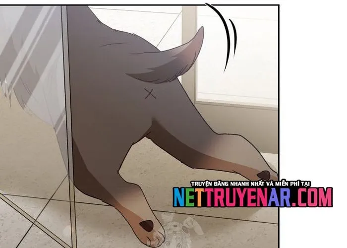 Xin Chào! Bác Sĩ Thú Y Chap 104 - Next Chap 105