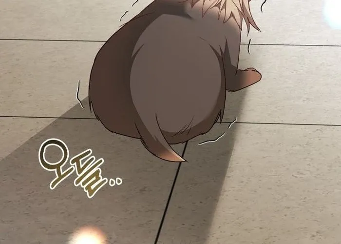 Xin Chào! Bác Sĩ Thú Y Chap 104 - Next Chap 105