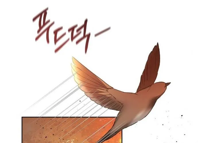 Xin Chào! Bác Sĩ Thú Y Chap 105.1 - Next Chap 106.1