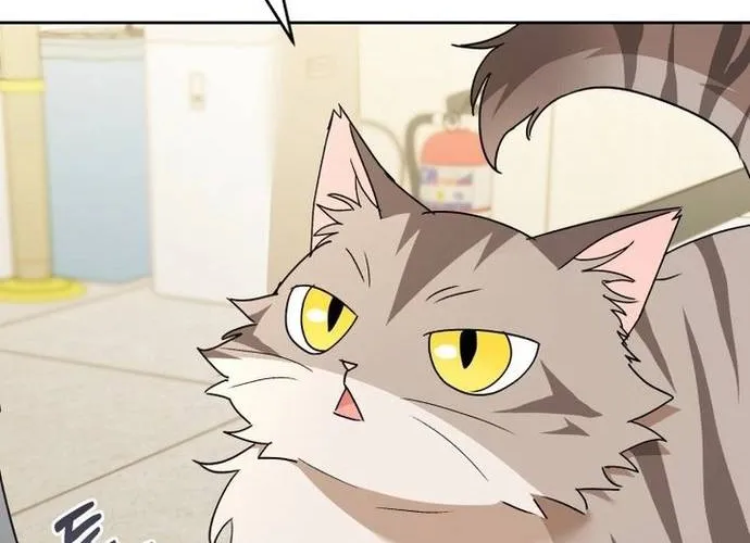 Xin Chào! Bác Sĩ Thú Y Chap 105.1 - Next Chap 106.1