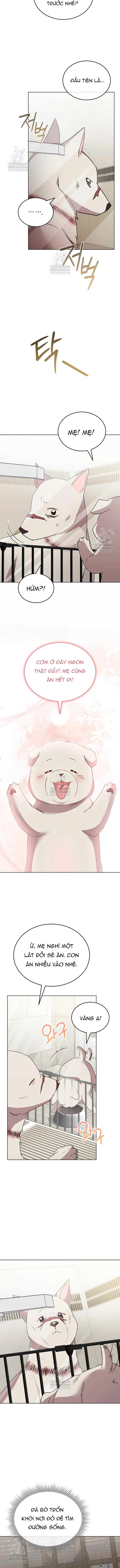 Xin Chào! Bác Sĩ Thú Y Chap 113 - Next Chap 114