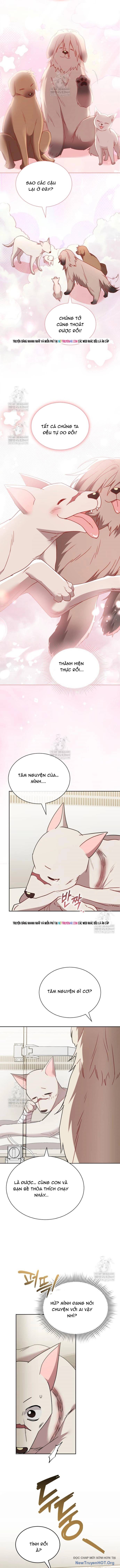 Xin Chào! Bác Sĩ Thú Y Chap 114.5 - Next Chap 115.5