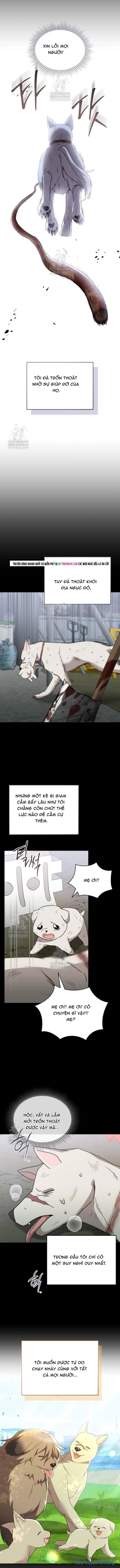 Xin Chào! Bác Sĩ Thú Y Chap 114.5 - Next Chap 115.5