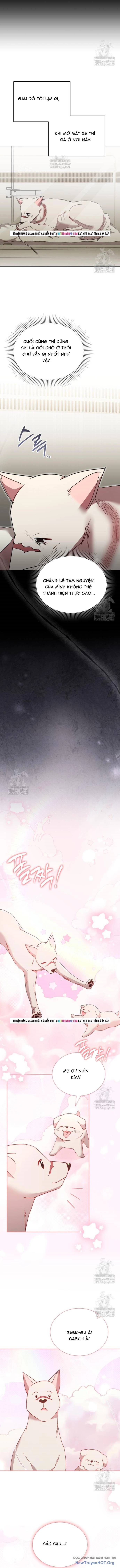 Xin Chào! Bác Sĩ Thú Y Chap 114.5 - Next Chap 115.5
