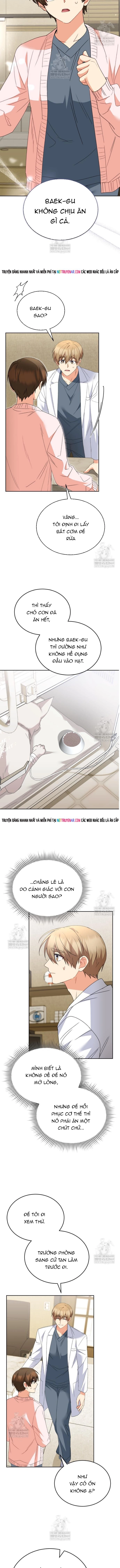 Xin Chào! Bác Sĩ Thú Y Chap 114 - Next Chap 115