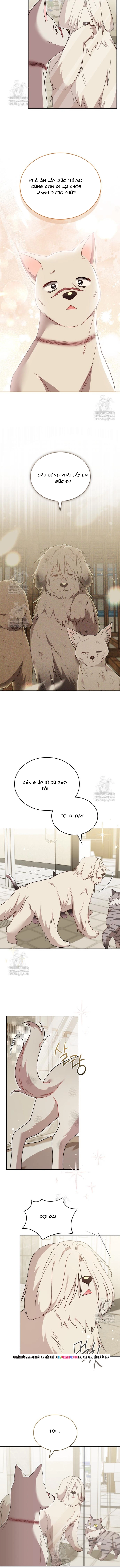 Xin Chào! Bác Sĩ Thú Y Chap 115 - Next Chap 116