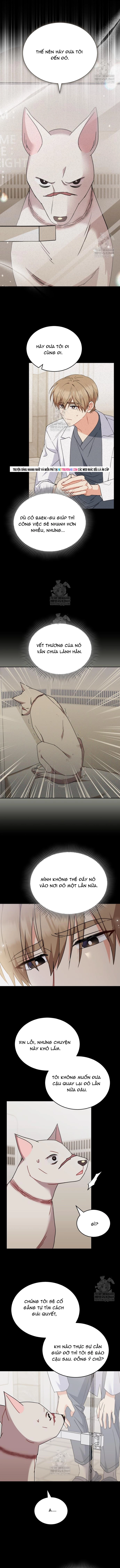 Xin Chào! Bác Sĩ Thú Y Chap 116 - Next Chap 117