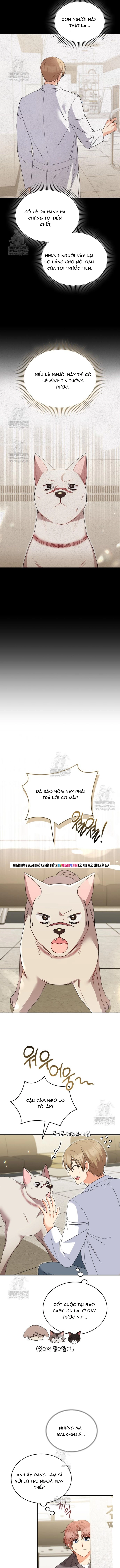 Xin Chào! Bác Sĩ Thú Y Chap 116 - Next Chap 117