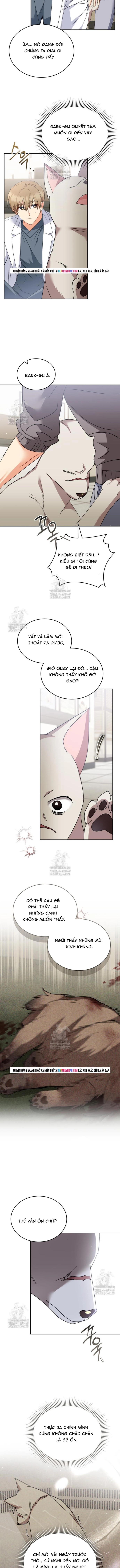 Xin Chào! Bác Sĩ Thú Y Chap 116 - Next Chap 117
