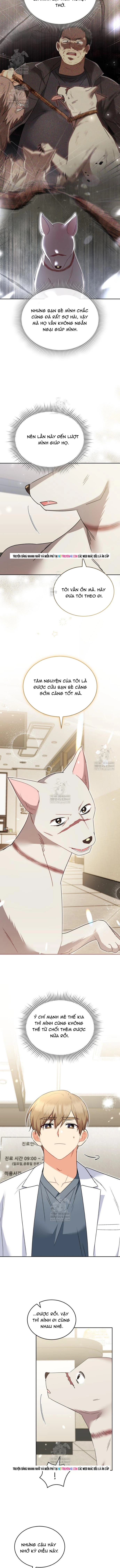 Xin Chào! Bác Sĩ Thú Y Chap 116 - Next Chap 117
