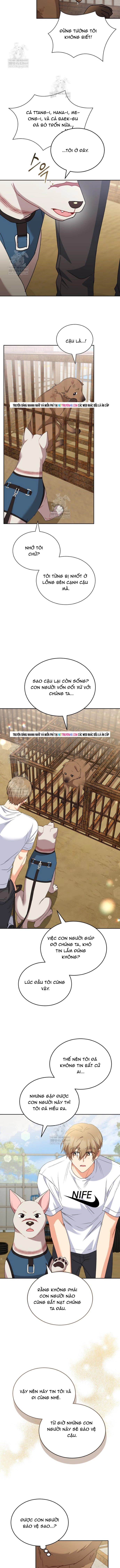 Xin Chào! Bác Sĩ Thú Y Chap 118 - Next Chap 119