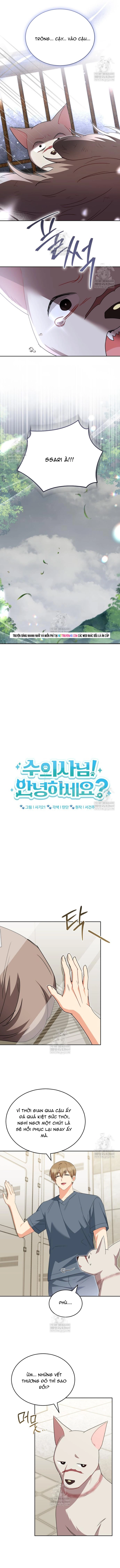 Xin Chào! Bác Sĩ Thú Y Chap 119 - Next Chap 120