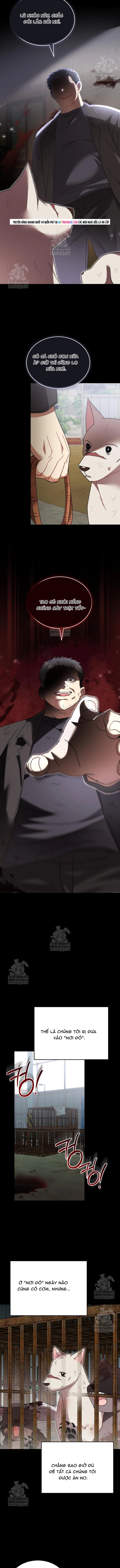 Xin Chào! Bác Sĩ Thú Y Chap 120 - Next Chap 121