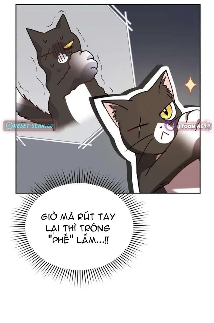 Xin Chào! Bác Sĩ Thú Y Chap 126 - Next Chap 127