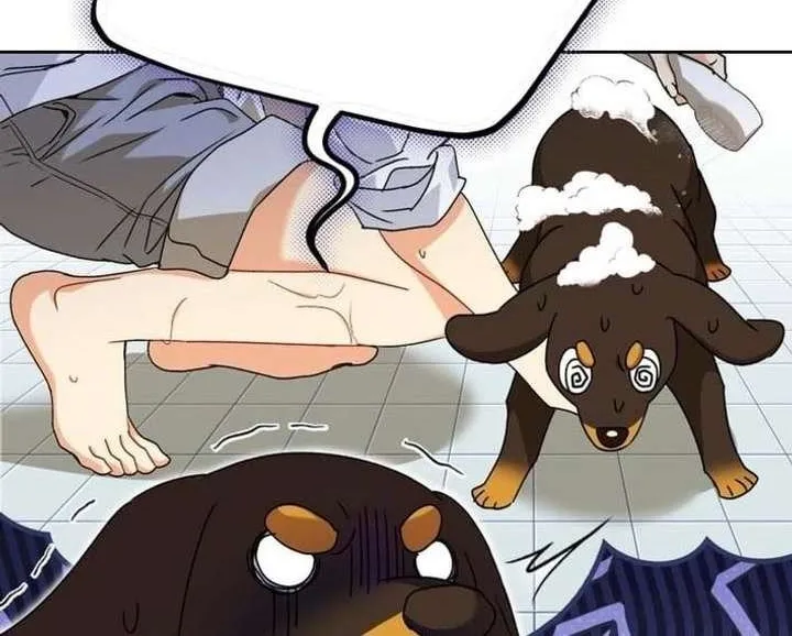 Xin Chào! Bác Sĩ Thú Y Chap 129 - Next Chap 130