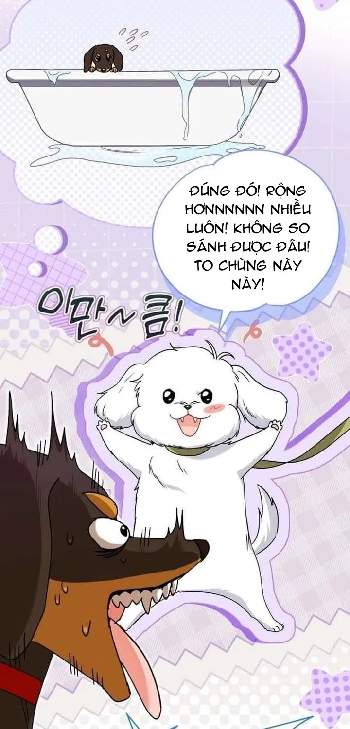 Xin Chào! Bác Sĩ Thú Y Chap 129 - Next Chap 130