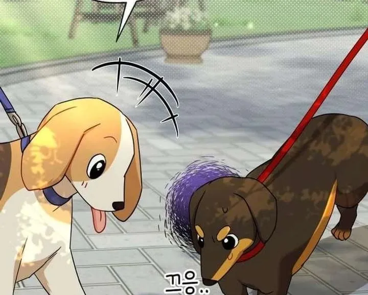 Xin Chào! Bác Sĩ Thú Y Chap 129 - Next Chap 130