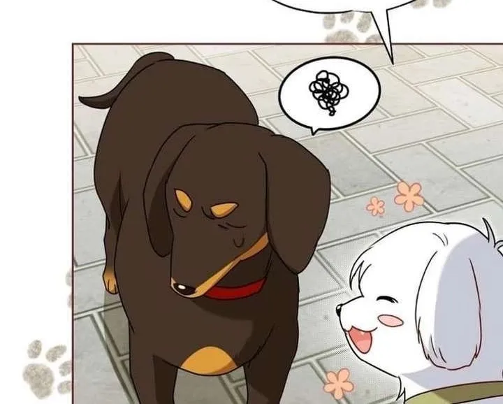 Xin Chào! Bác Sĩ Thú Y Chap 129 - Next Chap 130