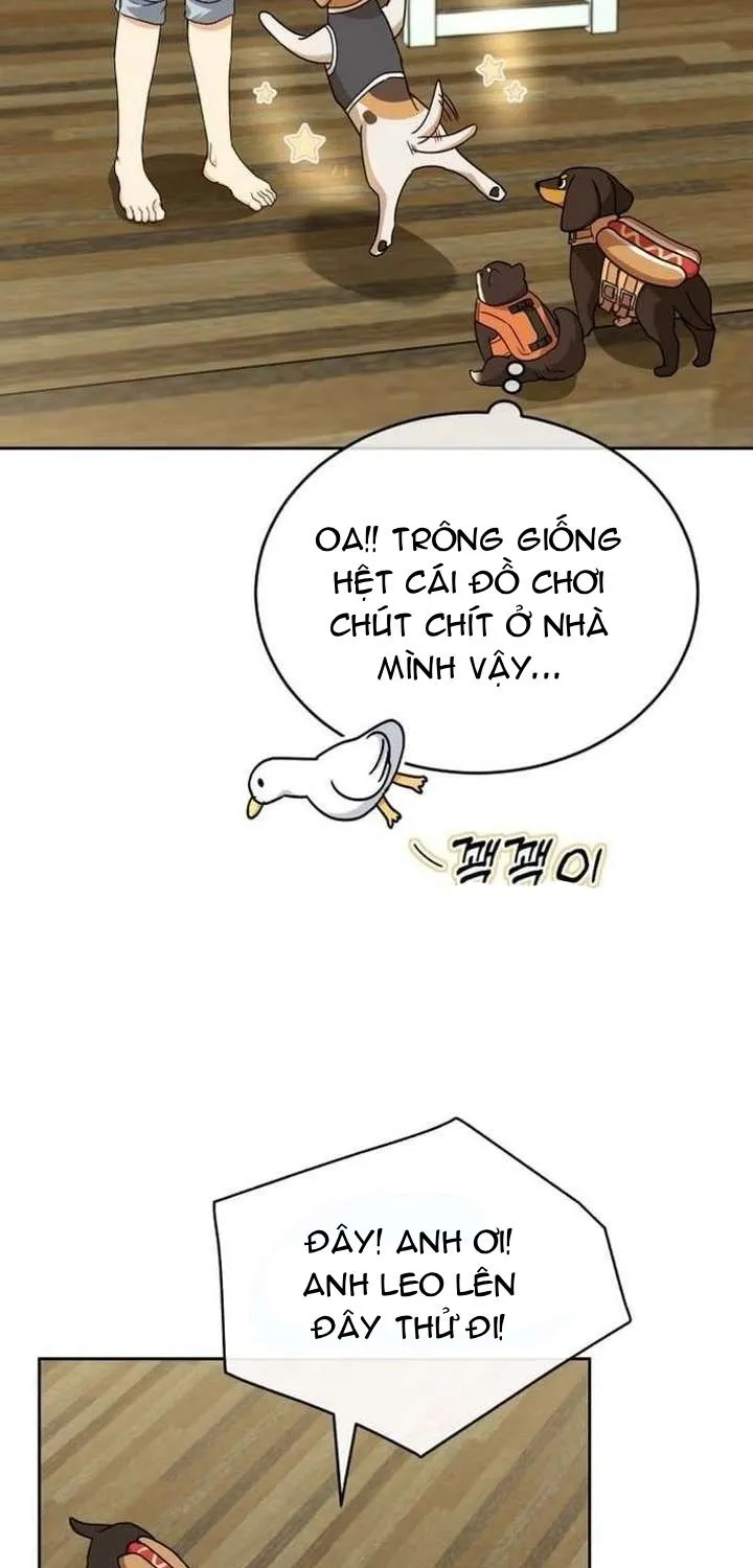 Xin Chào! Bác Sĩ Thú Y Chap 129 - Next Chap 130
