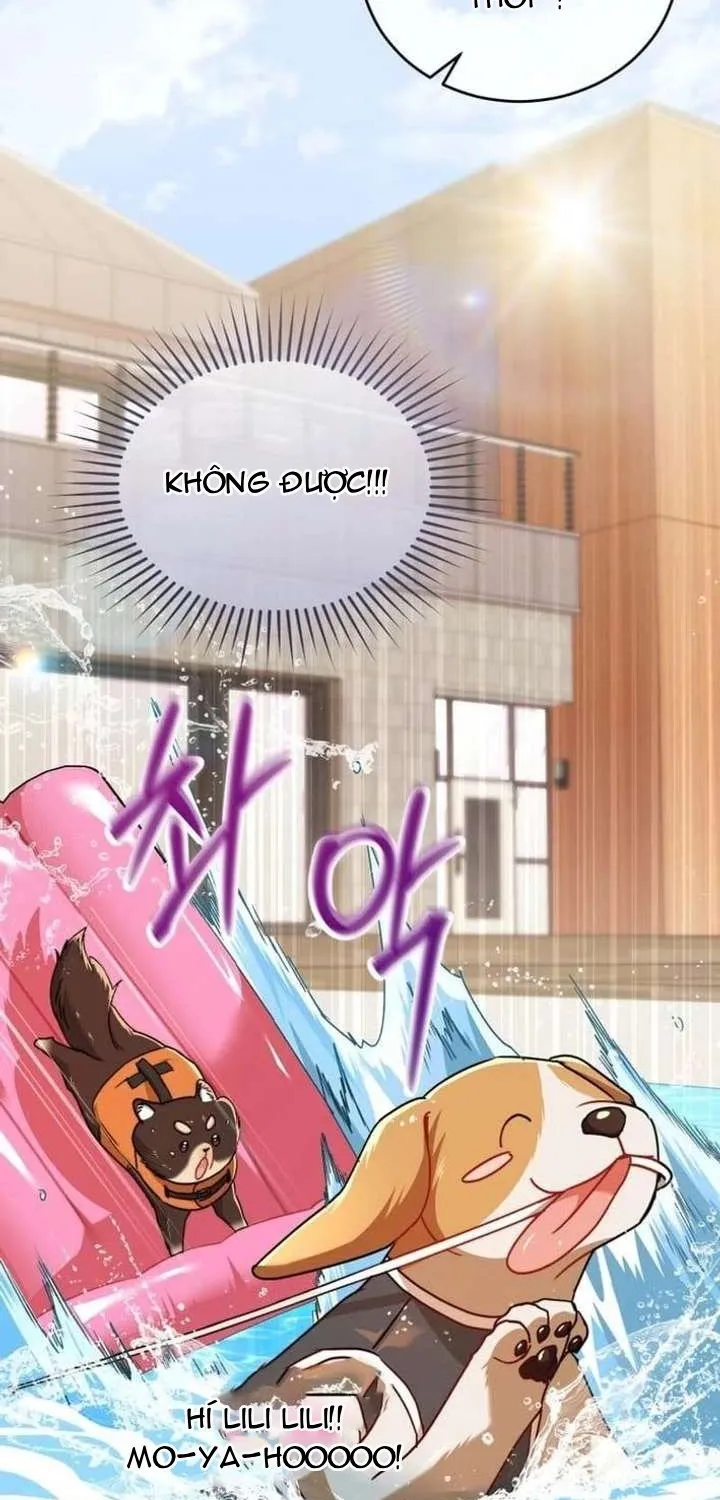 Xin Chào! Bác Sĩ Thú Y Chap 129 - Next Chap 130