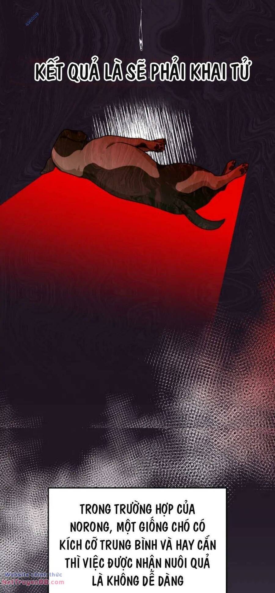 Xin Chào! Bác Sĩ Thú Y Chap 17 - Next Chap 18