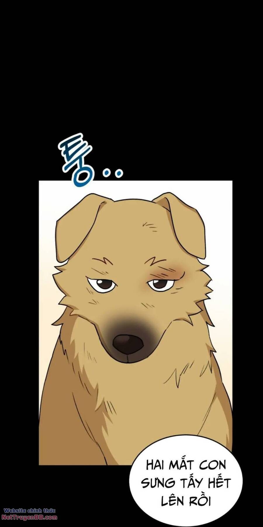 Xin Chào! Bác Sĩ Thú Y Chap 18 - Next Chap 19