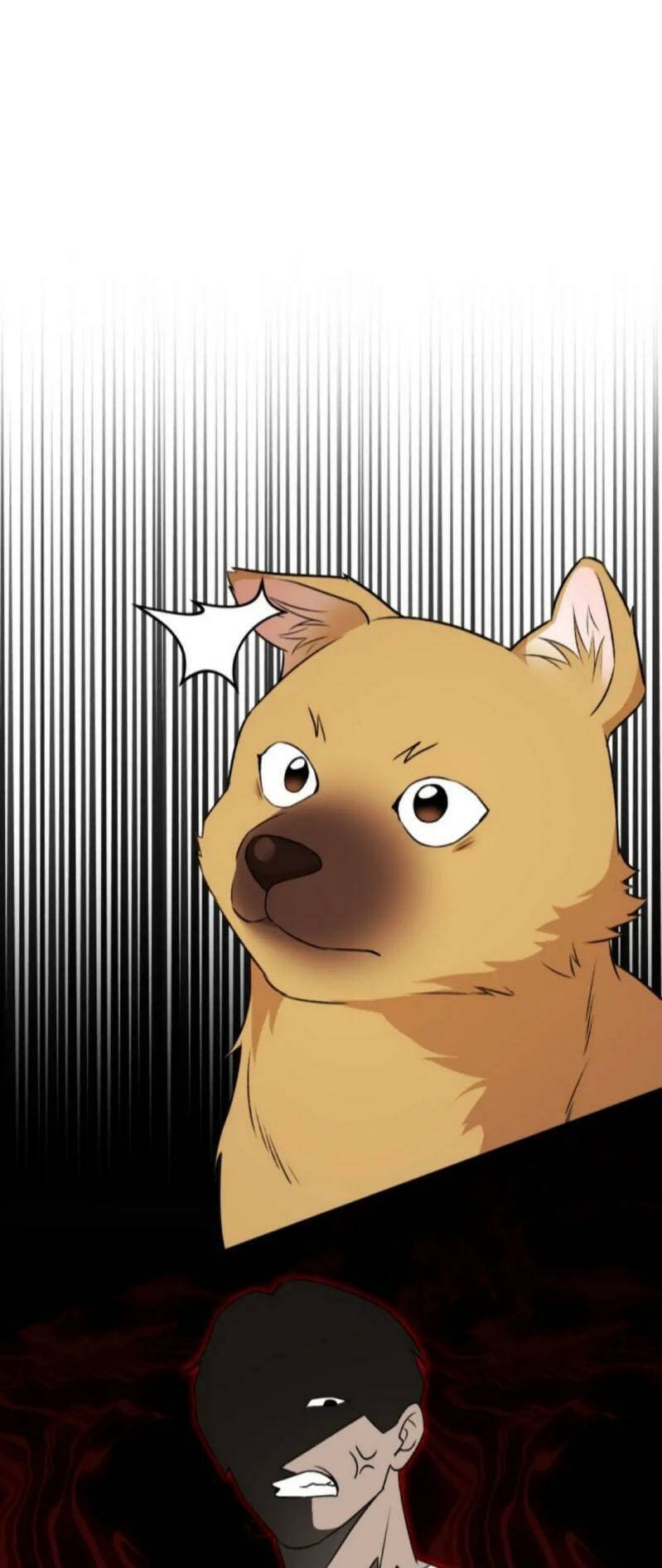 Xin Chào! Bác Sĩ Thú Y Chap 20 - Next Chap 21