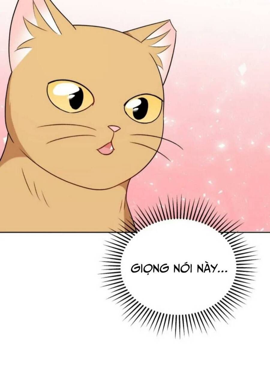 Xin Chào! Bác Sĩ Thú Y Chap 21 - Next Chap 22