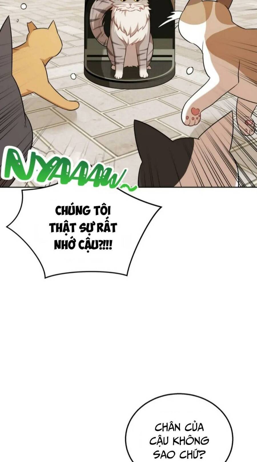 Xin Chào! Bác Sĩ Thú Y Chap 21 - Next Chap 22