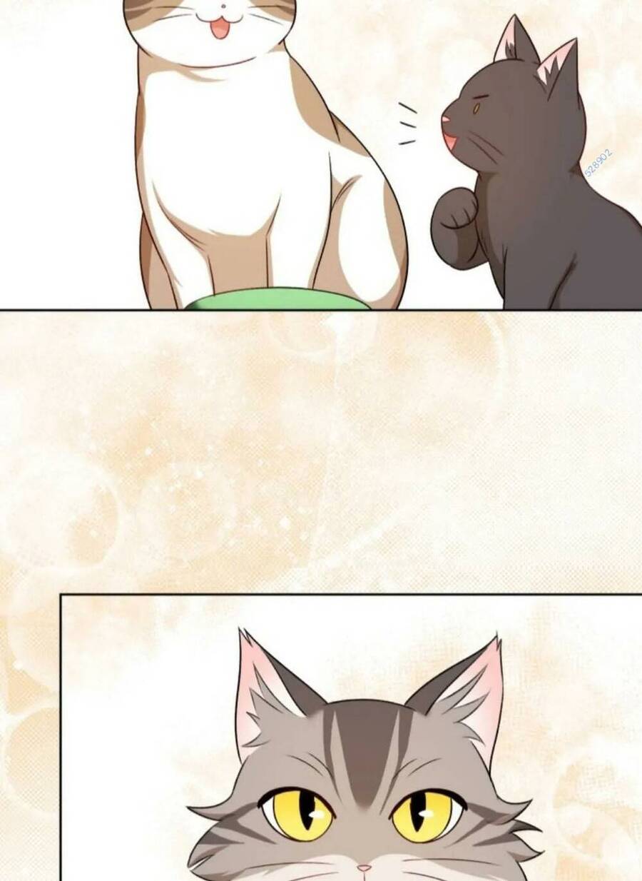 Xin Chào! Bác Sĩ Thú Y Chap 21 - Next Chap 22