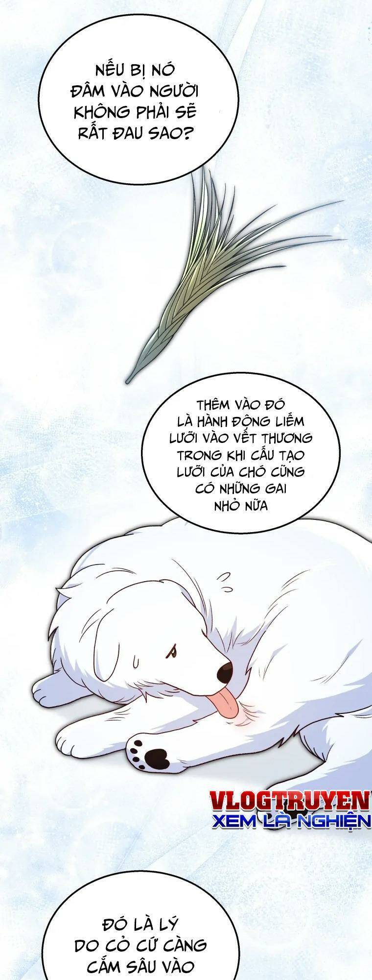 Xin Chào! Bác Sĩ Thú Y Chap 23 - Next Chap 24