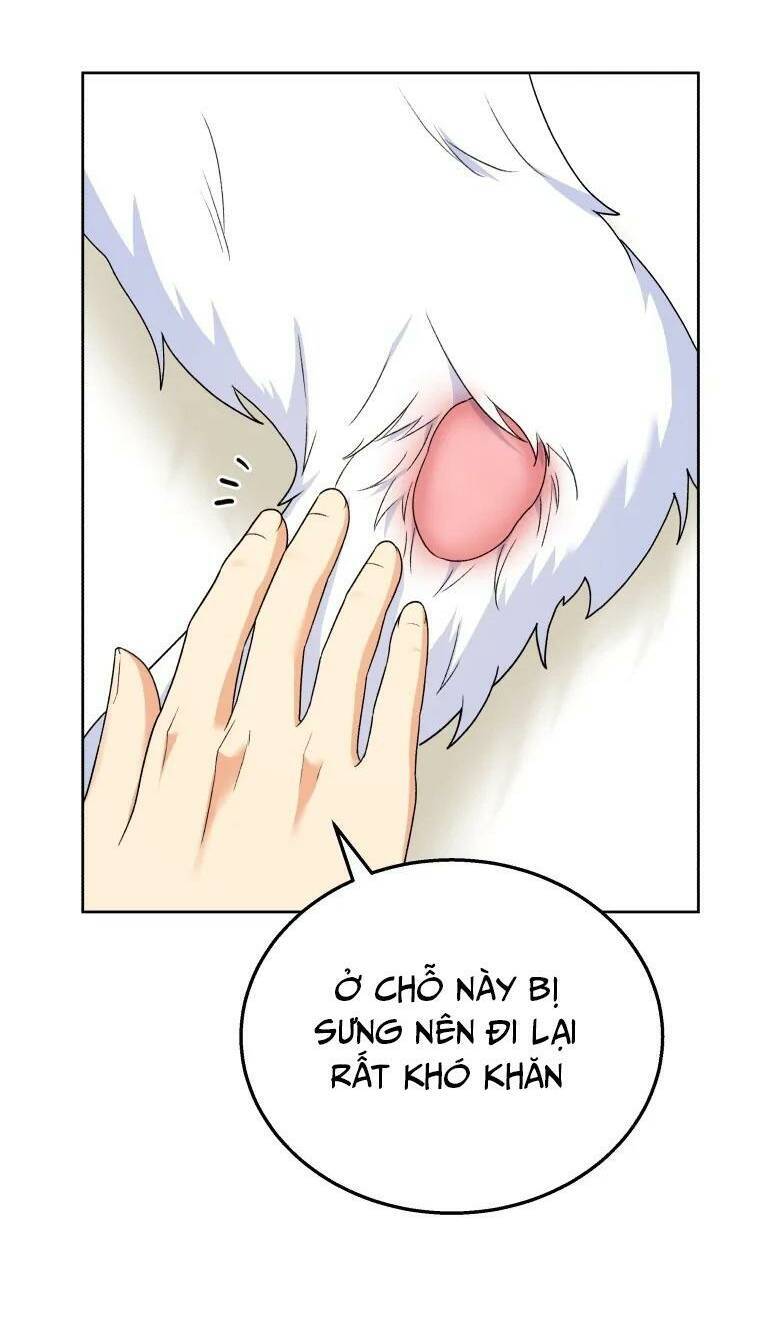 Xin Chào! Bác Sĩ Thú Y Chap 23 - Next Chap 24