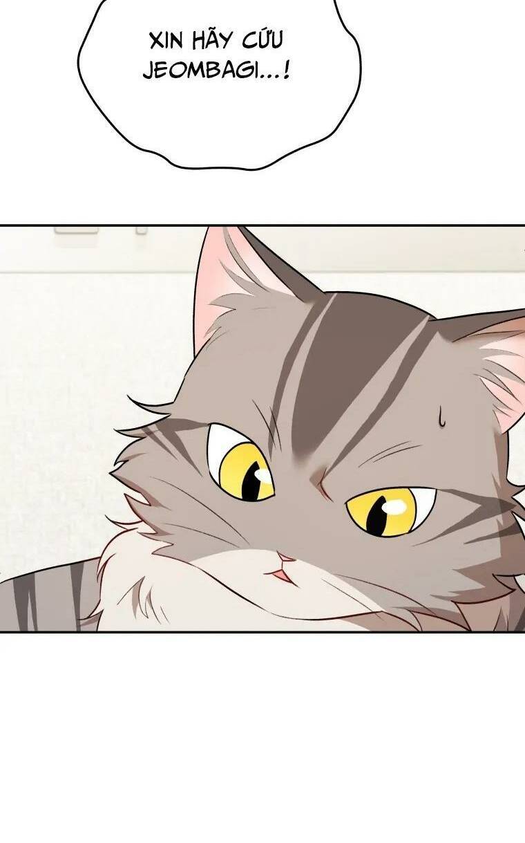 Xin Chào! Bác Sĩ Thú Y Chap 25 - Next Chap 26