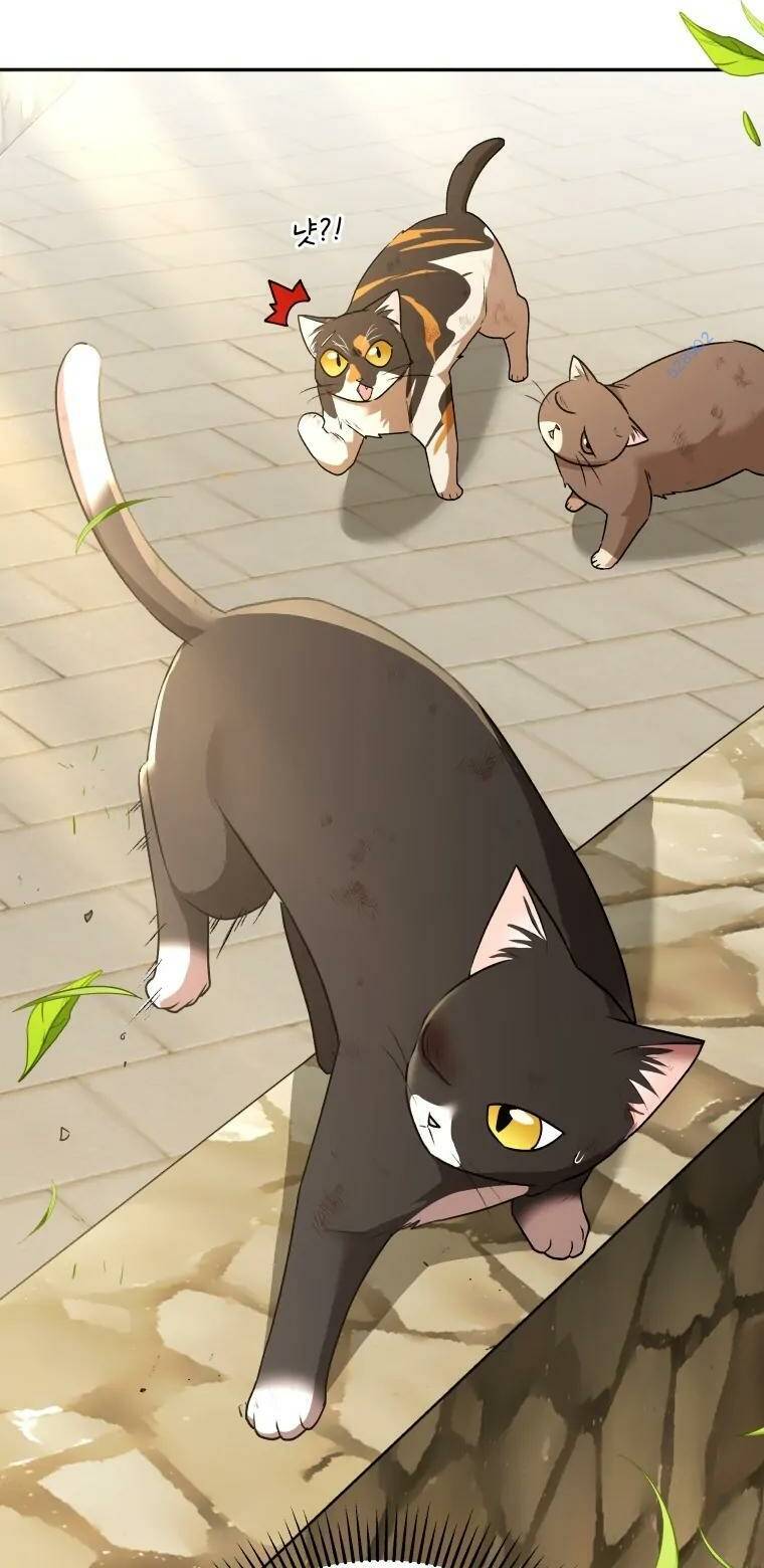 Xin Chào! Bác Sĩ Thú Y Chap 27 - Next Chap 28