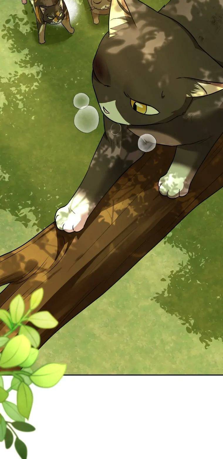 Xin Chào! Bác Sĩ Thú Y Chap 27 - Next Chap 28