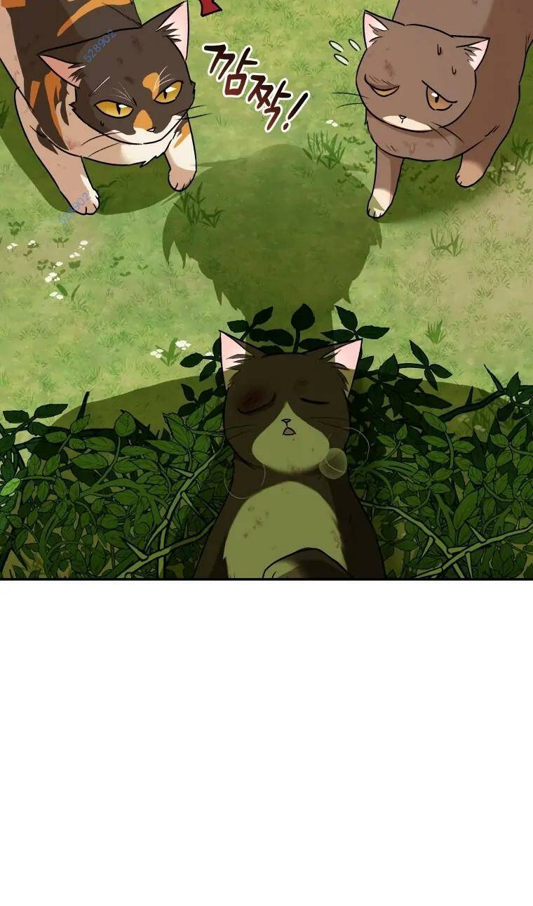 Xin Chào! Bác Sĩ Thú Y Chap 27 - Next Chap 28