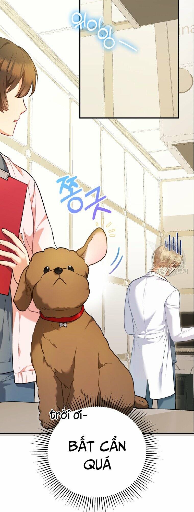 Xin Chào! Bác Sĩ Thú Y Chap 3 - Next Chap 4