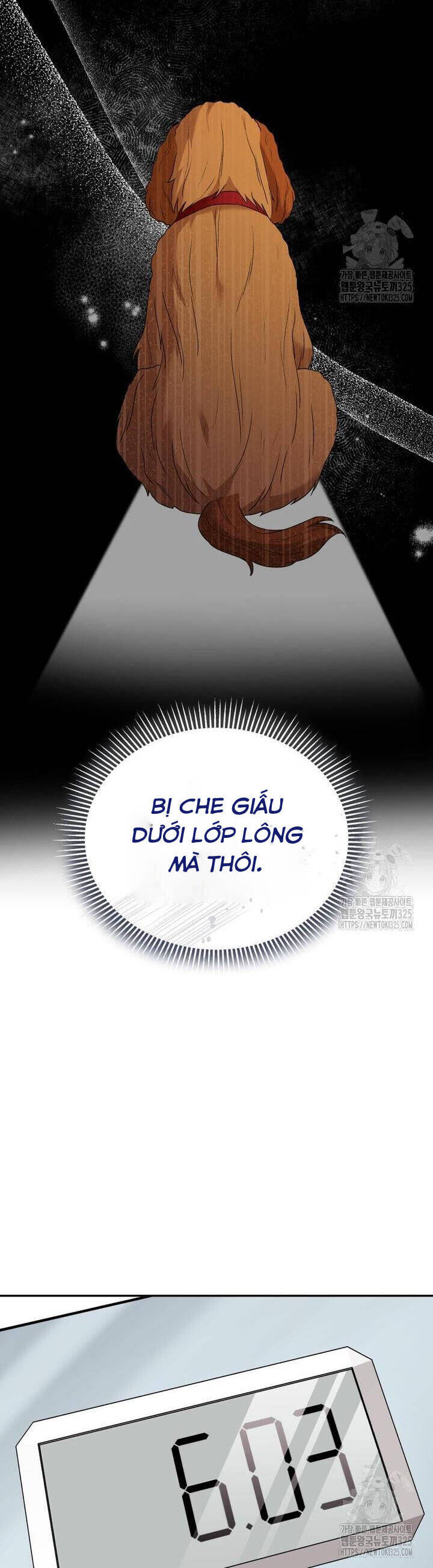 Xin Chào! Bác Sĩ Thú Y Chap 42 - Next Chap 43