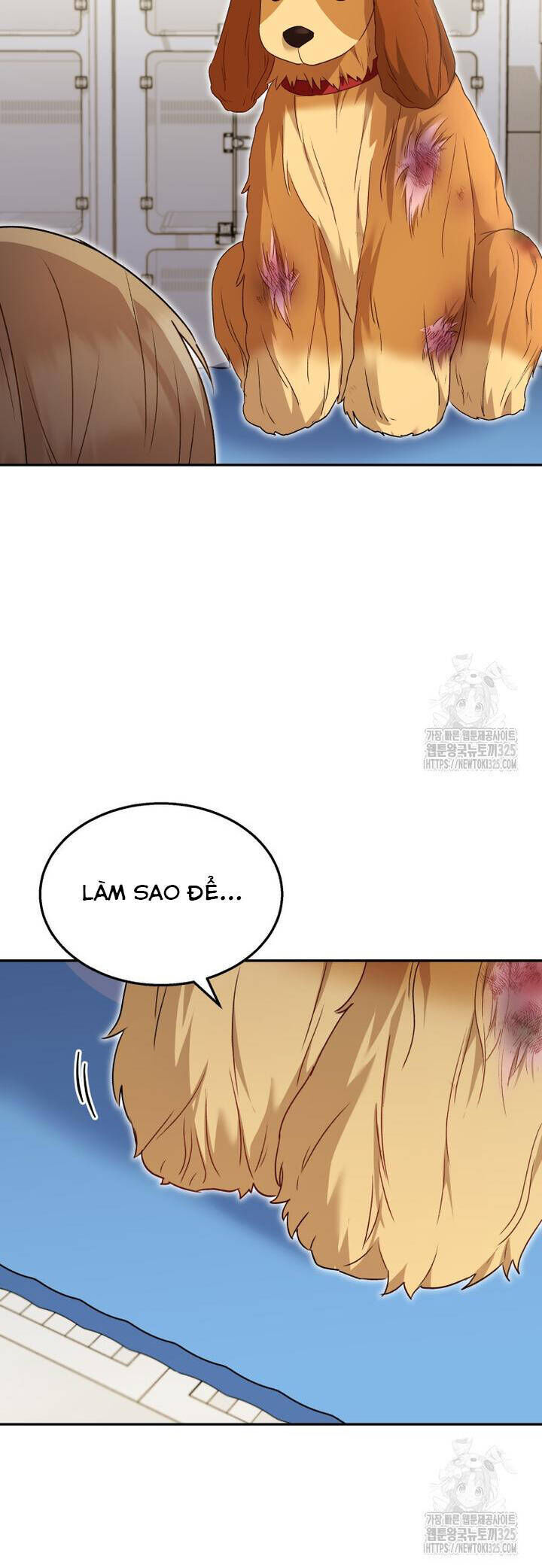 Xin Chào! Bác Sĩ Thú Y Chap 43 - Next Chap 44