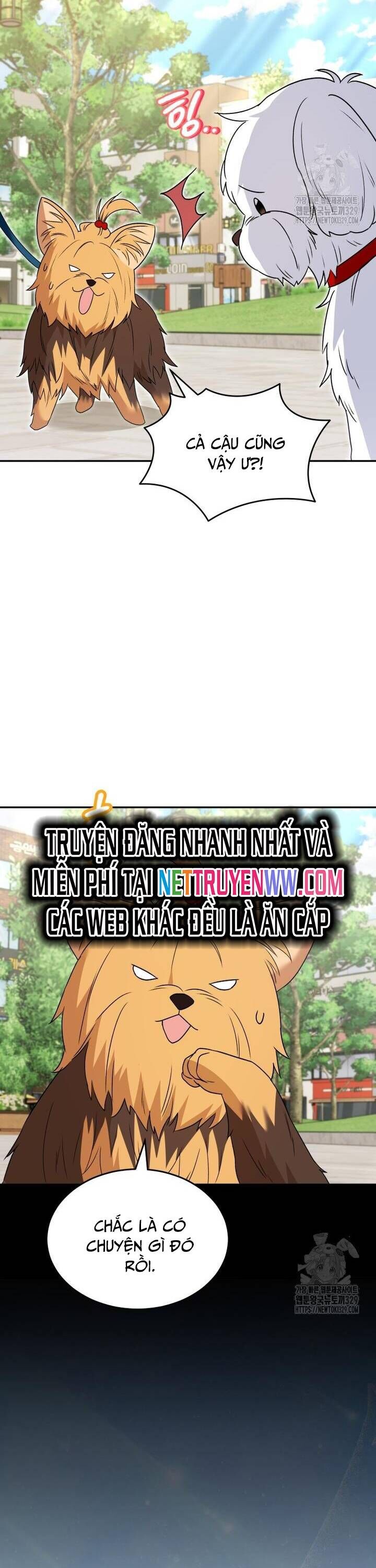 Xin Chào! Bác Sĩ Thú Y Chap 47 - Next Chap 48