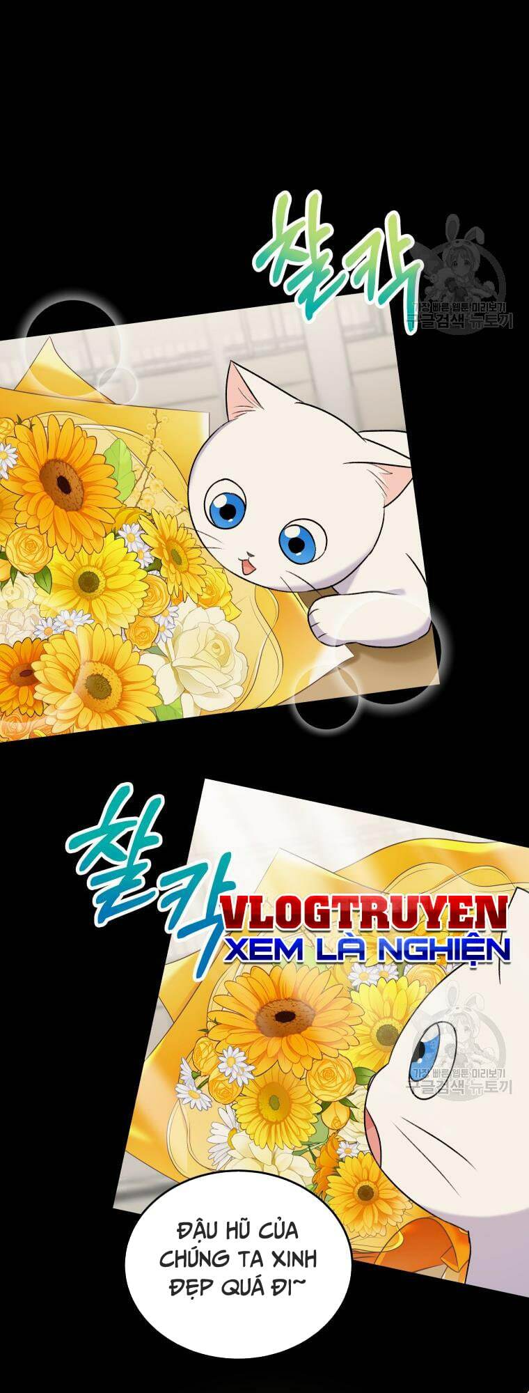 Xin Chào! Bác Sĩ Thú Y Chap 5 - Next Chap 6