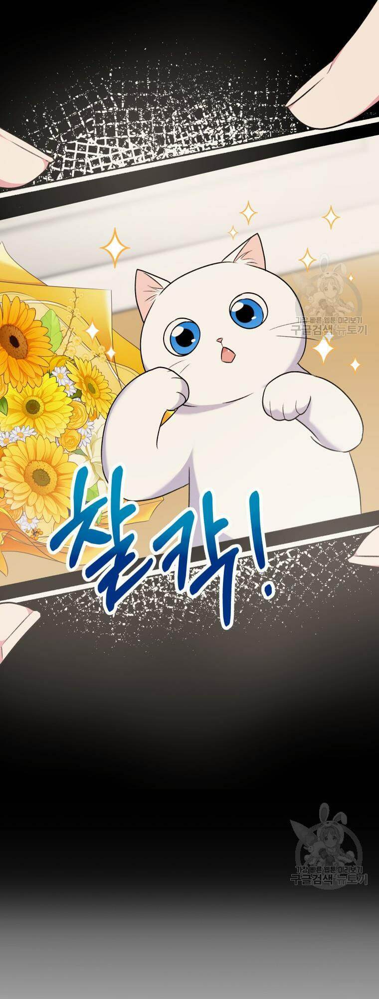 Xin Chào! Bác Sĩ Thú Y Chap 5 - Next Chap 6