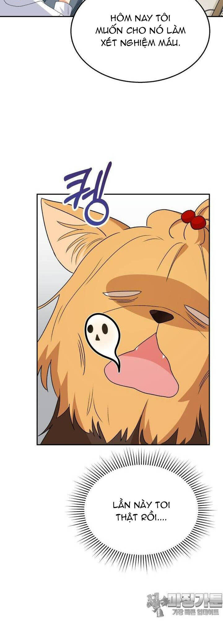 Xin Chào! Bác Sĩ Thú Y Chap 50 - Next Chap 51