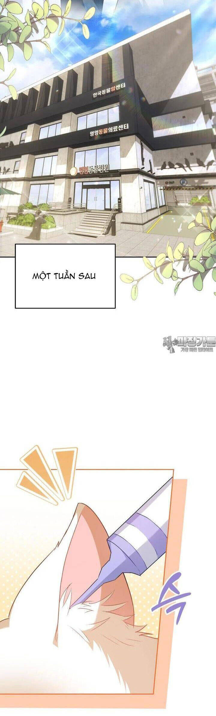 Xin Chào! Bác Sĩ Thú Y Chap 53 - Next Chap 54